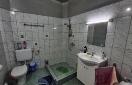 Casa 4 dormitoare, 220 mp, teren 500 mp, zona Titulescu
