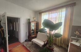 Casa 4 dormitoare, 220 mp, teren 500 mp, zona Titulescu