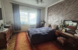 Casa 4 dormitoare, 220 mp, teren 500 mp, zona Titulescu