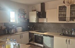 Casa 4 dormitoare, 220 mp, teren 500 mp, zona Titulescu