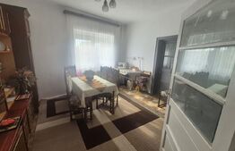 Casa 4 dormitoare, 220 mp, teren 500 mp, zona Titulescu