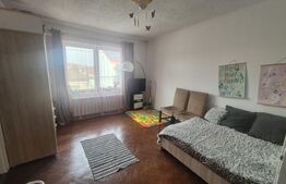 Casa 4 dormitoare, 220 mp, teren 500 mp, zona Titulescu