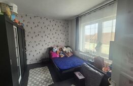 Casa 4 dormitoare, 220 mp, teren 500 mp, zona Titulescu