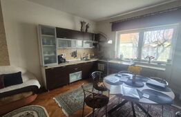 Casa 4 dormitoare, 220 mp, teren 500 mp, zona Titulescu