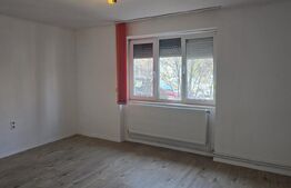 Casa 2 camere, 60 mp, 500 mp teren, zona Botizului
