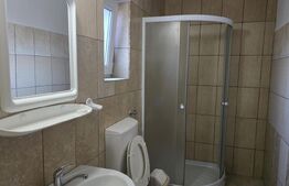 Casa 2 camere, 60 mp, 500 mp teren, zona Botizului