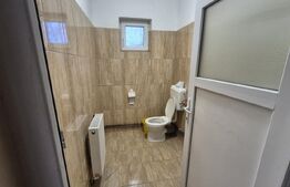 Hale industriale de inchiriat, 1500-2500 mp, zona Closca