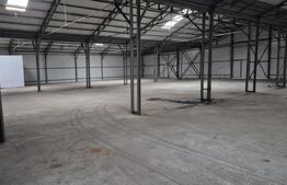 Hale industriale de inchiriat, 1500-2500 mp, zona Closca