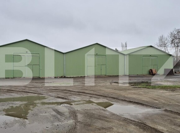 Spațiu industrial de închiriat Closca - 189847SII | BLITZ Satu Mare | Poza7