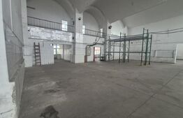 Depozit si hale industriale de inchiriat, total 4000 mp, zona Closca 
