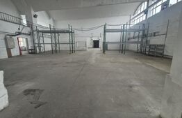 Depozit si hale industriale de inchiriat, total 4000 mp, zona Closca 