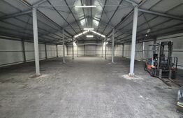 Depozit si hale industriale de inchiriat, total 4000 mp, zona Closca 