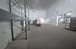 Depozit si hale industriale de inchiriat, total 4000 mp, zona Closca 
