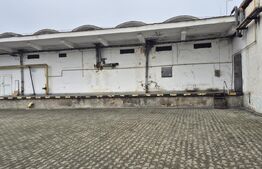 Depozit si hale industriale de inchiriat, total 4000 mp, zona Closca 