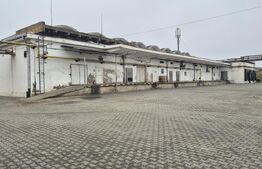Depozit si hale industriale de inchiriat, total 4000 mp, zona Closca 