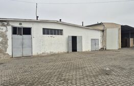 Depozit si hale industriale de inchiriat, total 4000 mp, zona Closca 