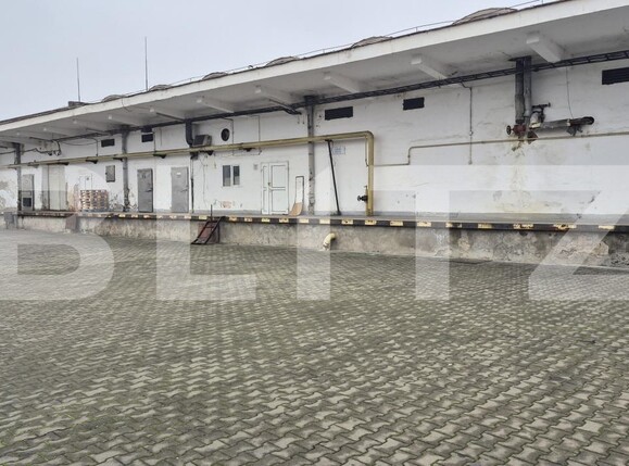 Spațiu industrial de închiriat Closca - 189849SII | BLITZ Satu Mare | Poza8