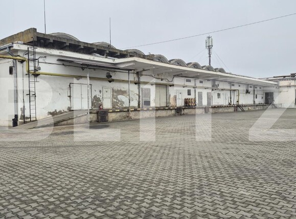 Spațiu industrial de închiriat Closca - 189849SII | BLITZ Satu Mare | Poza5