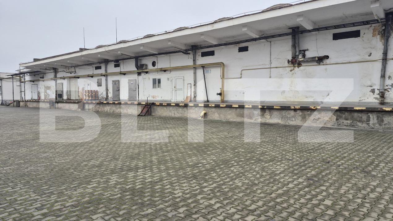 Spațiu industrial de închiriat Closca - 189849SII | BLITZ Satu Mare | Poza8
