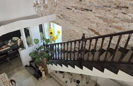 Casa 5 camere 259 mp, 2800 mp teren - Culciu Mic