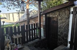 Casa 5 camere 259 mp, 2800 mp teren - Culciu Mic