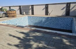 Casa 5 camere 259 mp, 2800 mp teren - Culciu Mic