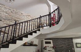 Casa 5 camere 259 mp, 2800 mp teren - Culciu Mic