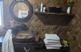 Casa 5 camere 259 mp, 2800 mp teren - Culciu Mic