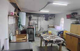 Casa 5 camere 259 mp, 2800 mp teren - Culciu Mic