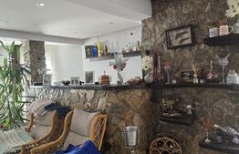 Casa 5 camere 259 mp, 2800 mp teren - Culciu Mic