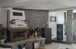 Casa 5 camere 259 mp, 2800 mp teren - Culciu Mic