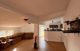 Casă P+1, 445 mp, zona Baritiu