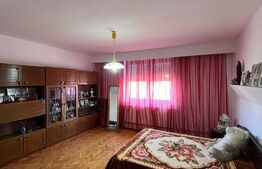 Casă P+1, 445 mp, zona Baritiu