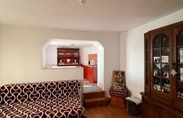 Casă P+1, 445 mp, zona Baritiu