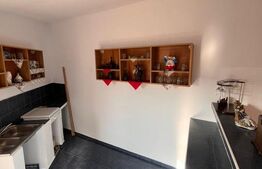Casă P+1, 445 mp, zona Baritiu