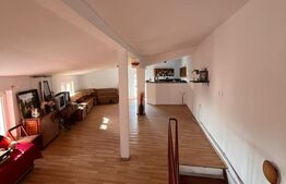 Casă P+1, 445 mp, zona Baritiu