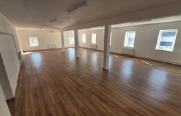 Spatii comerciale de inchiriat, 773 mp, zona Lucian Blaga