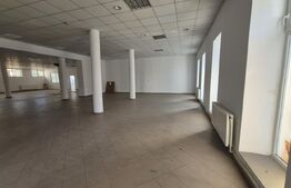 Spatii comerciale de inchiriat, 773 mp, zona Lucian Blaga