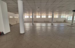 Spatii comerciale de inchiriat, 773 mp, zona Lucian Blaga