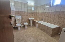 Spatii comerciale de inchiriat, 773 mp, zona Lucian Blaga