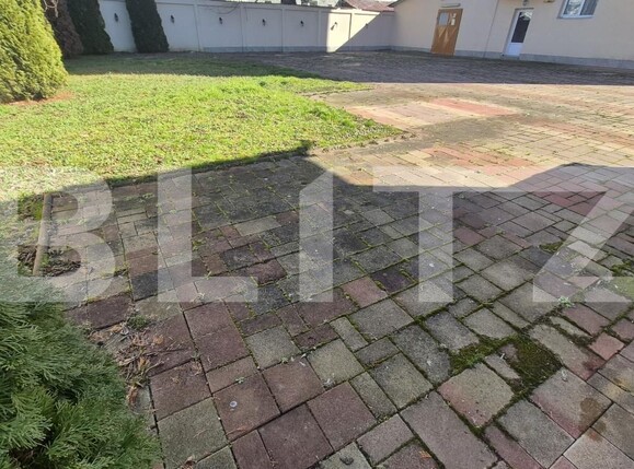 Spațiu comercial de închiriat Lucian Blaga - 190391SIC | BLITZ Satu Mare | Poza2