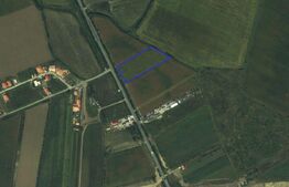 Teren intravilan de vanzare, 7500 mp, str Gorunului, zona Aqua Star
