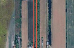 Teren Intravilan de Vânzare – 11.500 mp – DN E81 Între Satu Mare și Botiz