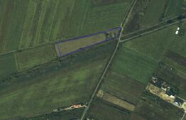 Teren de vanzare, 5000 mp, zona Odobescu Satu Mare