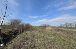 Teren de vanzare, 5000 mp, zona Odobescu Satu Mare