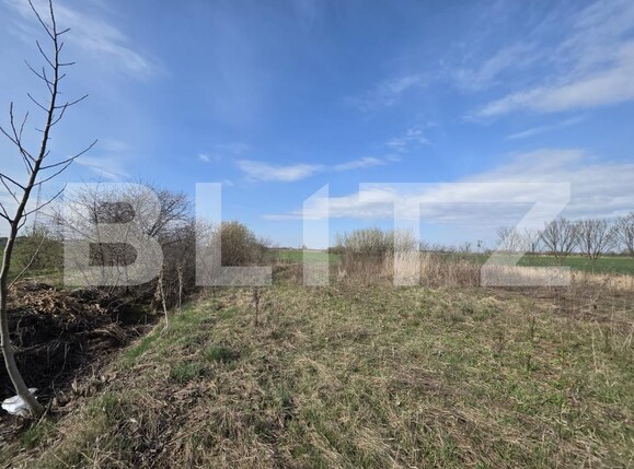 Teren de vânzare Nord - 191211TV | BLITZ Satu Mare | Poza1