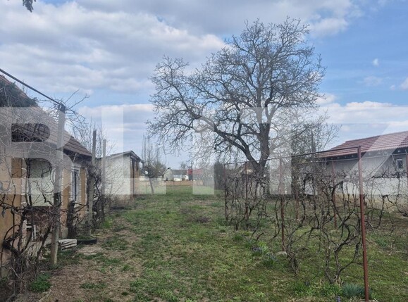 Teren de vânzare Exterior Nord - 191364TV | BLITZ Satu Mare | Poza10