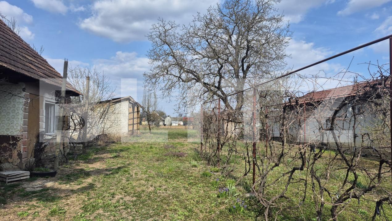 Teren de vânzare Exterior Nord - 191364TV | BLITZ Satu Mare | Poza9