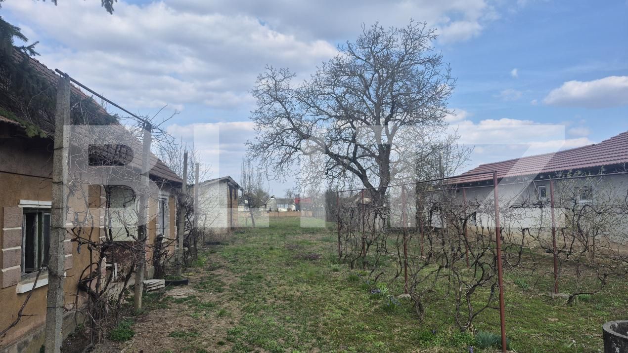 Teren de vânzare Exterior Nord - 191364TV | BLITZ Satu Mare | Poza10