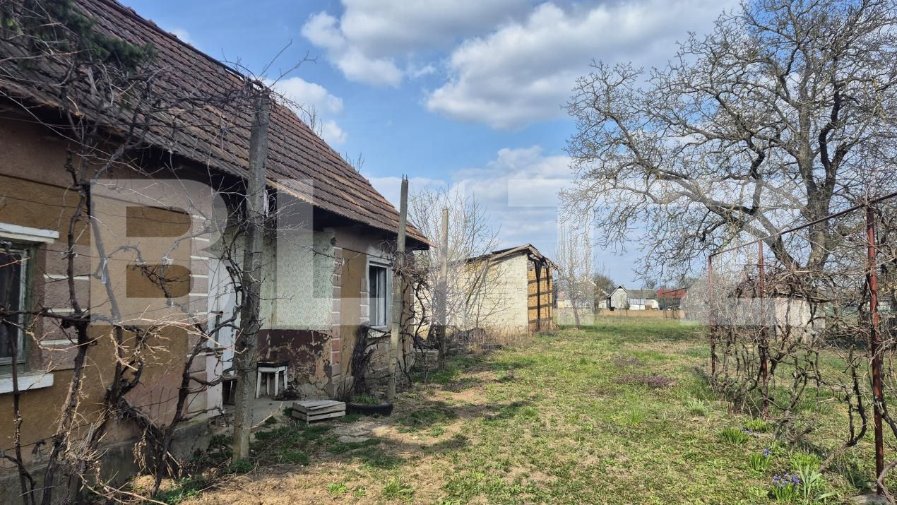 Teren de vânzare Exterior Nord - 191364TV | BLITZ Satu Mare | Poza3